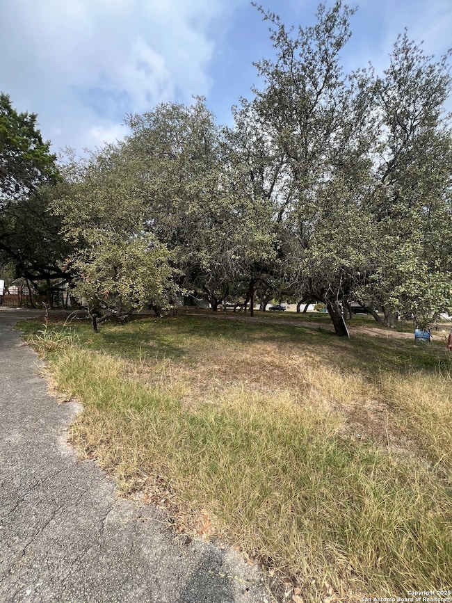 11811 Orsinger Ln, San Antonio, TX 78230 - photo 4