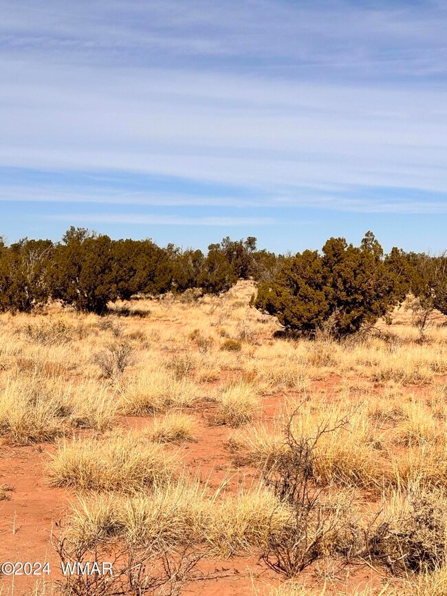 High Desert 1