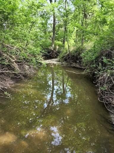 520 County Road 4070 520 County Road 4070, Ector, TX 75439 - photo 6