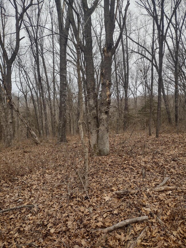 IMG_20250308_123853223_HDR