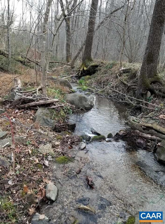 0 Leathers Rd unit 611763, Robertson, VA 22719 - photo 5