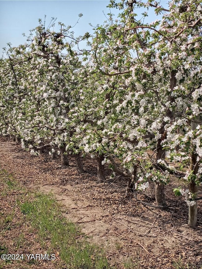 4851 Lombard Loop Rd, Zillah, WA 98953 - photo 7