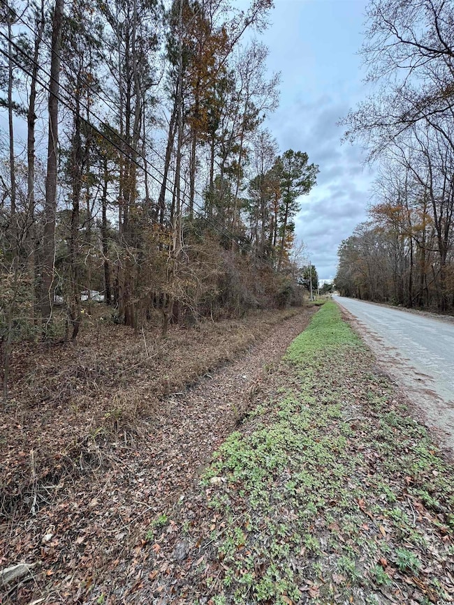 Lot 5 New Rd, Conway, SC 29527 - photo 4