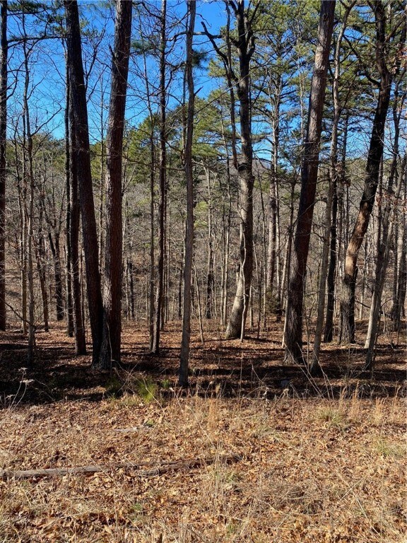 0 Camborne Dr unit 1182063, Bella Vista, AR 72714 - photo 4