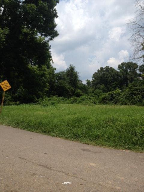 000 Rodney Rd, Port Gibson, GA 30150 - photo 2