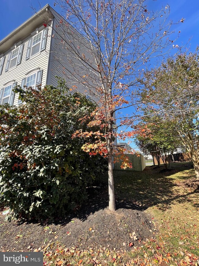 9180 Ribbon Falls Loop, Bristow, VA 20136 - photo 5