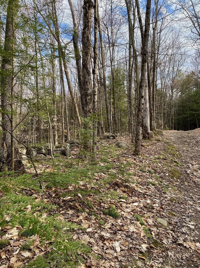 0 Raisig Rd unit 202121066, Corinth, NY 12822 - photo 6