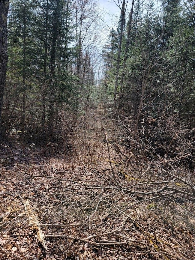 ON Luds Ln, Loretta, WI 54896 - photo 5