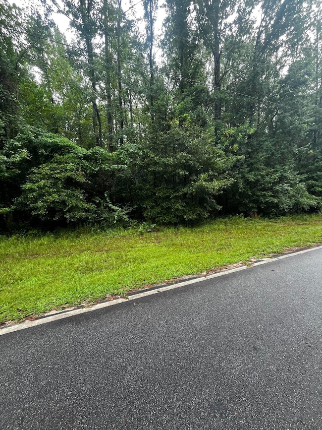 0 Liberty St unit 545715, Thomson, GA 30824 - photo 2