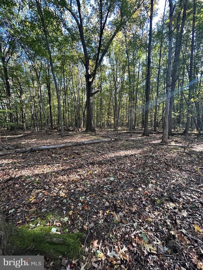 0 Georgetown Rd SE unit MDKE2005844, Chestertown, MD 21620 - photo 5