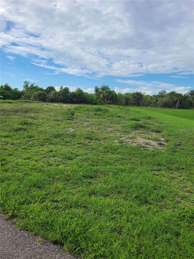 7450 Silage Cir, Gardens of Gulf Cove, FL 33981 - photo 2