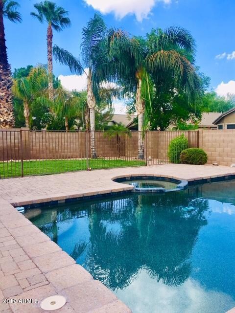 Pool, Spa & Yard