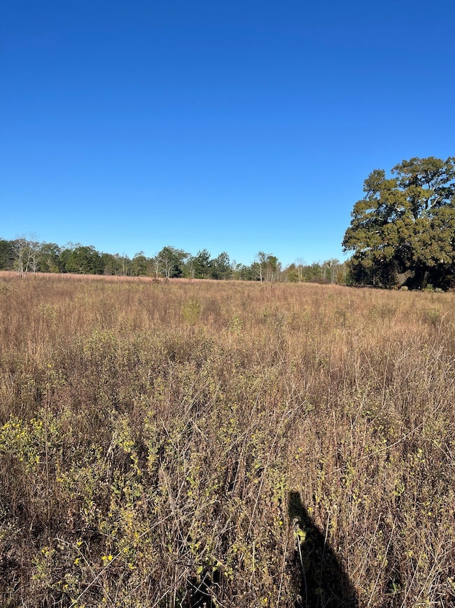 Bhl 3 Boise Cascade Rd, Bethune, SC 29009 - photo 3