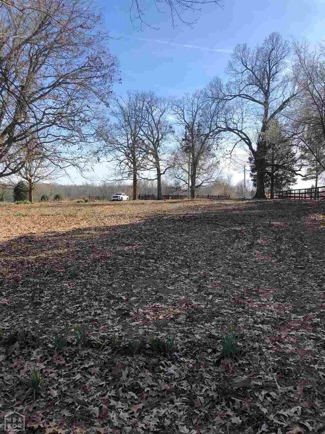 357 Cr 372, Bono, AR 72416 - photo 4