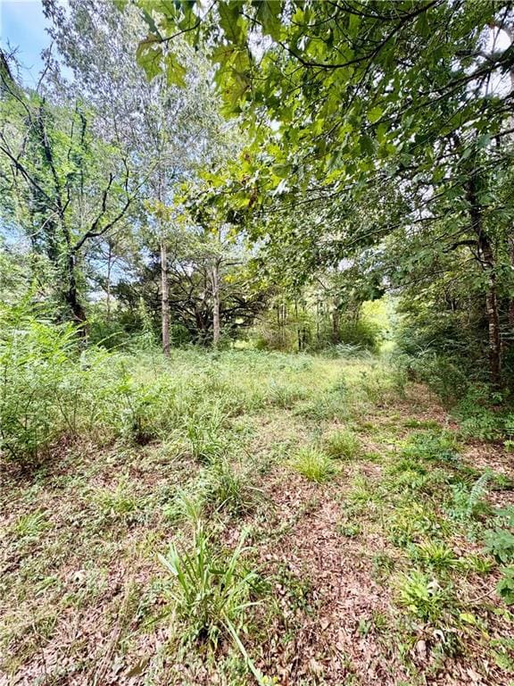 tbd Route 6, Natchitoches, LA 71457 - photo 3