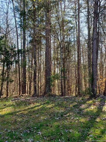 4063 Dakeita Cir unit 38-39, Concord, NC 28025 - photo 4