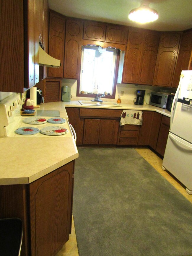 231 E Sorenson Ave, Appleton, MN 56208 - photo 6