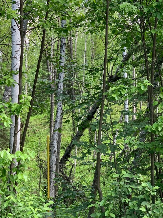 13765 W Holly Loop, Big Lake, AK 99652 - photo 5