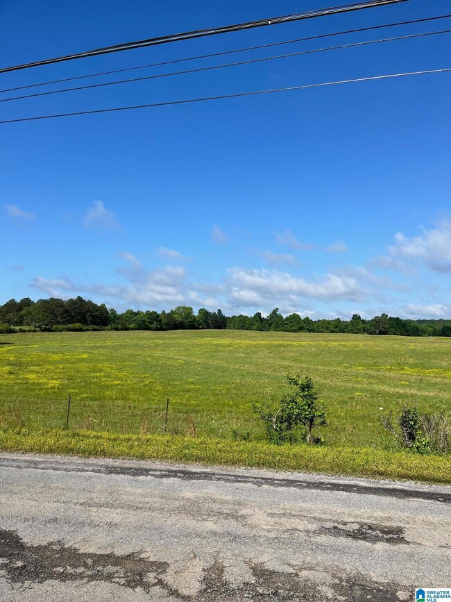 0 Morton Rd unit 21423587, Oneonta, AL 35121 - photo 4