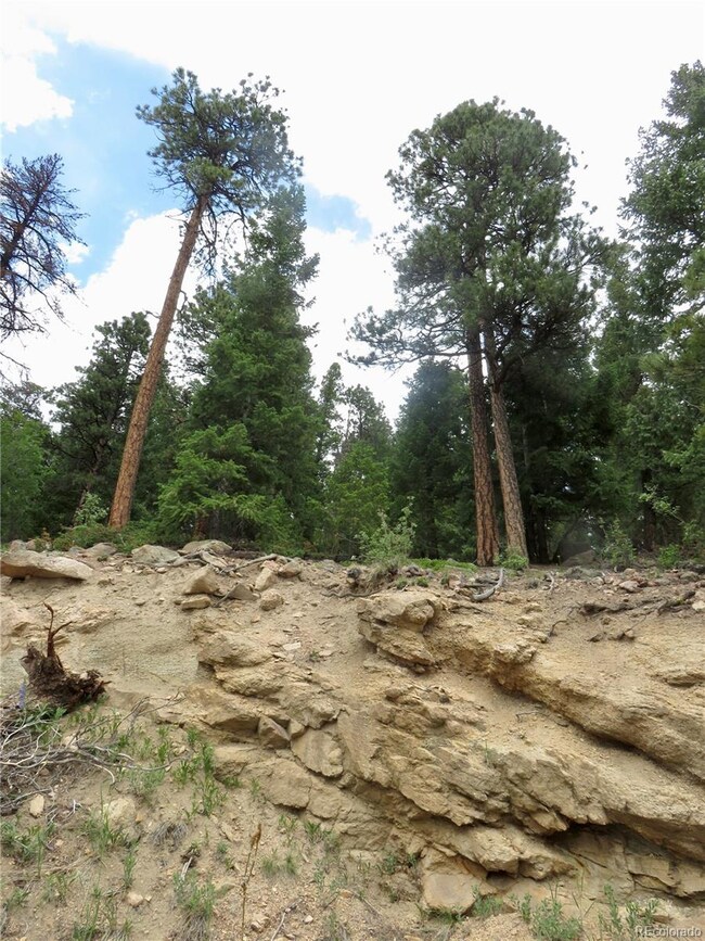 View from Lodgepole Circle