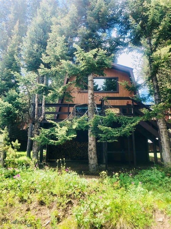 Surrounded by Lovely Pine Trees