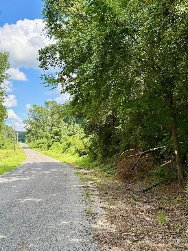 Short Rd, Alpine, AL 35014 - photo 5