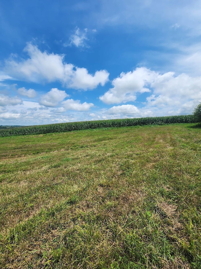 Tbd Mustang Ave, Nelson, MO 65347 - photo 6