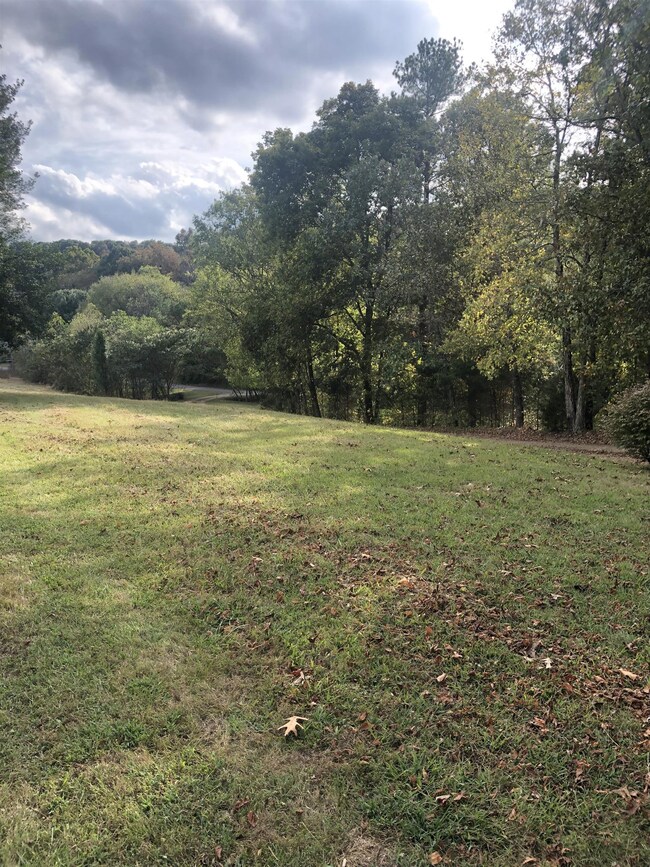 295 Scarborough Hollow Rd, Stewart, TN 37175 - photo 6