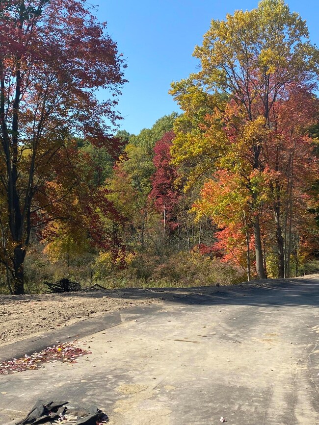 Whitetail Lane Photo 7