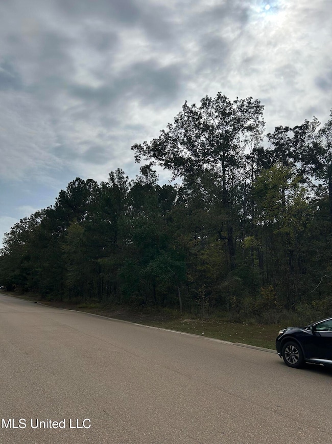 Tbd Old Fannin Rd, Brandon, MS 39047 - photo 3