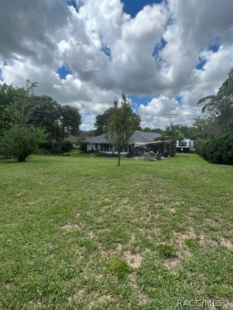 Rear Yard