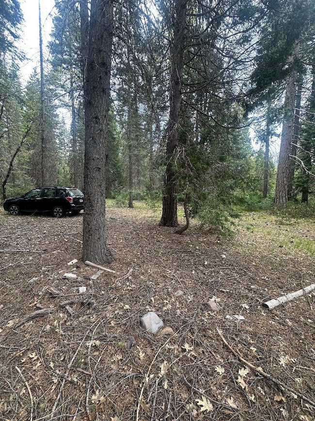 0 Widow Springs Dr, McCloud, CA 96057 - photo 6