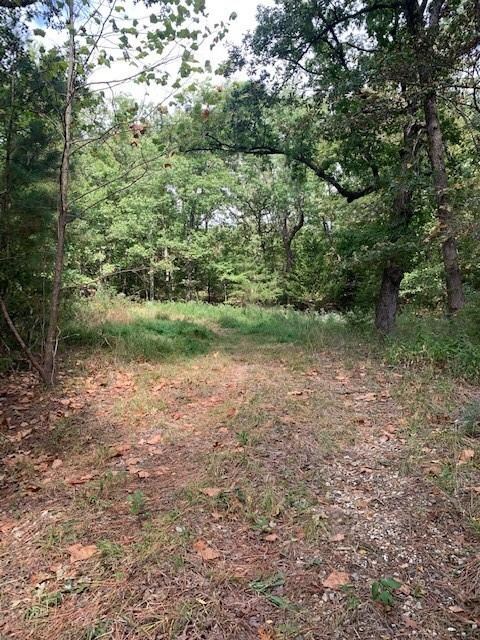 0 Patton Rd, West Fork Township, AR 72774 - photo 2