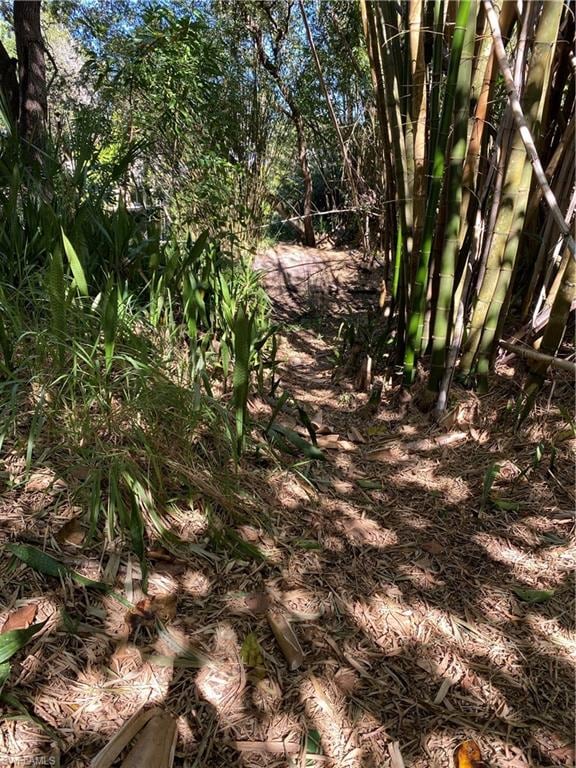 Path to the river for Kayak or canoe or paddle board