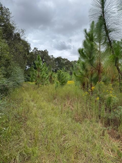 11009 E State Highway 52, Webb, GA 30376 - photo 6