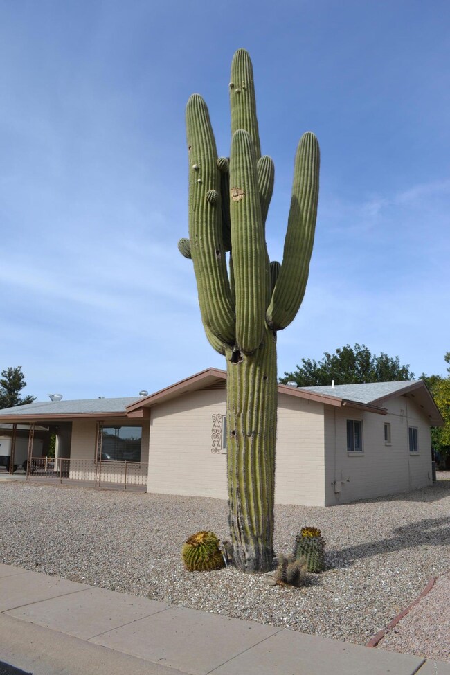 5334 E DUNCAN Mesa