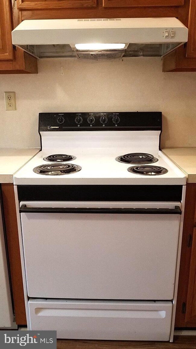 297 Martinsburg Rd unit A, Berkeley Springs, WV 25411 - photo 3