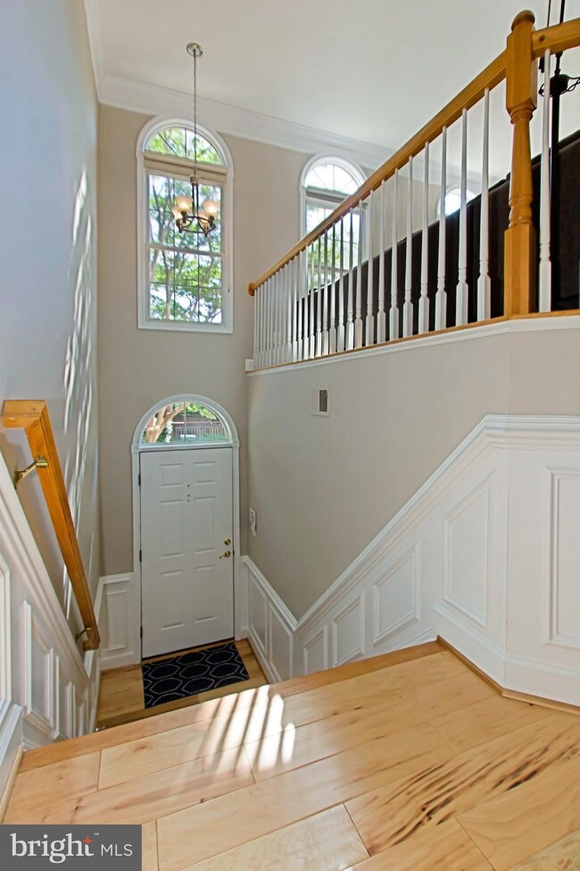 4638 Knight Place, Alexandria, VA 22311 - photo 2