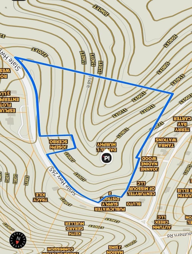 3839 State Highway 265, Branson, MO 65616 - photo 3