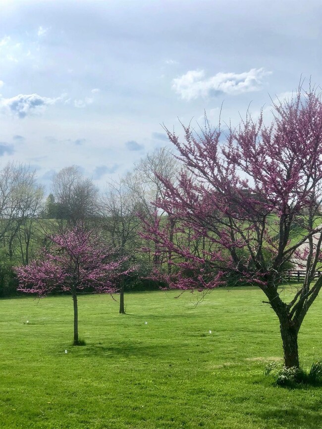 4380 Vince Rd, Nicholasville, KY 40356 - photo 6