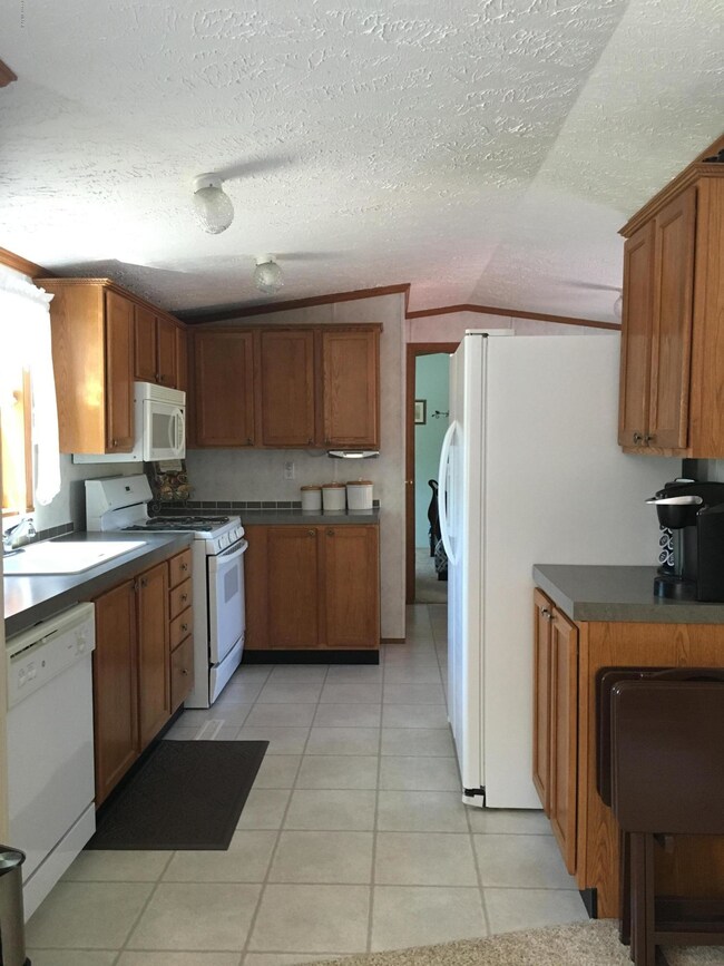 1383 W Woodland Park Dr, Bitely, MI 49309 - photo 7