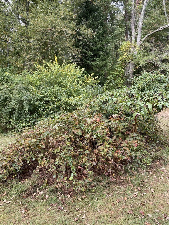 178 New St, Rehoboth, MA 02769 - photo 6