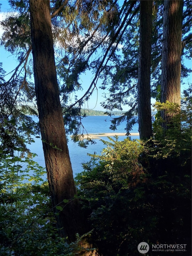 8213 159th Ave SW, Longbranch, WA 98351 - photo 5