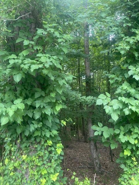 0 Butner Rd SW unit 7397698, Atlanta, GA 30331 - photo 2