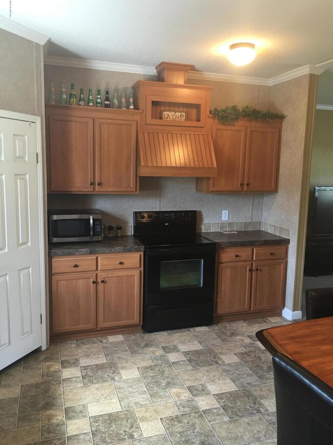 3295 Thunder Rd, Middleburg, FL 32068 - photo 4