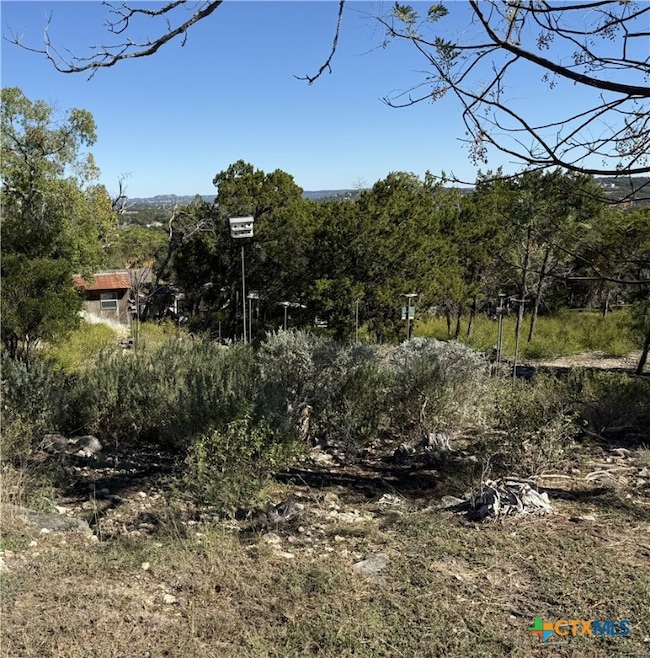 651 Scott Way, Canyon Lake, TX 78133 - photo 5