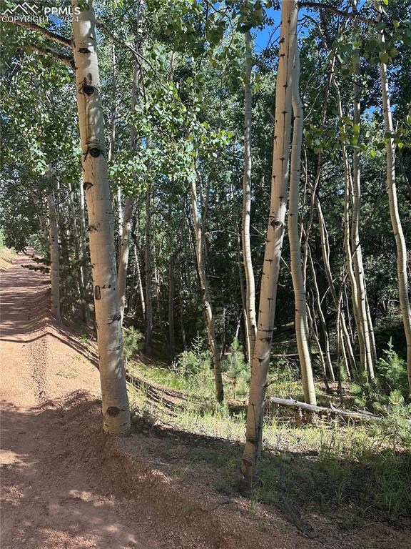 L8 Horseshoe Dr, Divide, CO 80814 - photo 3