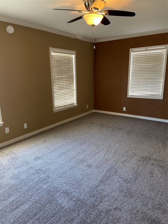 Living room - new carpet