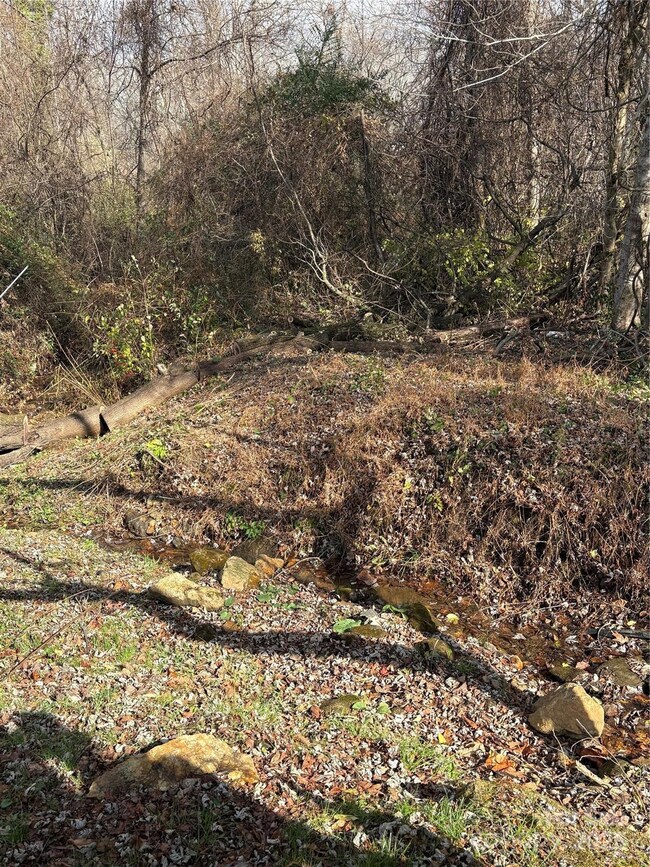 99999 Lytle Cove Rd, Black Mountain, NC 28711 - photo 7