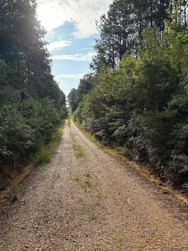 TBD Aunt Margies Rd, Greensburg, LA 70441 - photo 3
